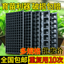 ����PѨ�P ����� �I�B�P�������������������������P��������