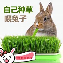 С���������ݼ�ʳ�������Ӻ��m��ëС���݌��ò��������r�ò��i��