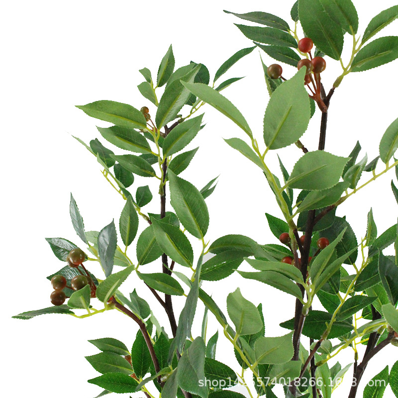 XRB-251 赤楠叶叶三叉0.95米  (1).jpg