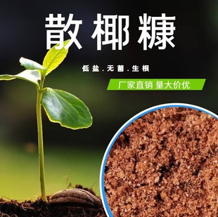 ����Ҭ���I�B���N���N�˻��|��Ҭ������̿��Ҭ�u�����������|ɢ��