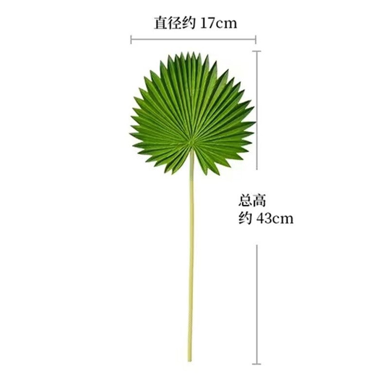 중간 뾰족한 야자잎