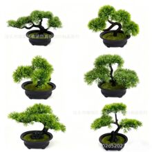 ����ӭ���ɼٻ����Լ��ɰ������辰�ɘ��҃ȾGɫֲ���b�����[��