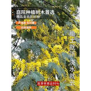 ��Ϛg�N���R�t���q����N���y�G�}�Q�N�Ӱ��ް�ɫ��̾G�h��Ϛg