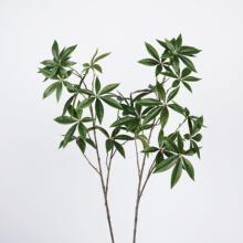 Gֲlؔ~ؔ~߶ֲ҃b[쾰~ľG~