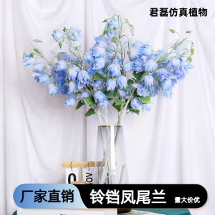�����Pβ�m��m����c�Y�üҾӲ��÷��滨�ٻ����晻���b��Pβ�m