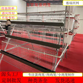 蛋鸡笼 笼具 阶梯式蛋鸡笼 冷镀锌鸡笼 鸡笼厂家