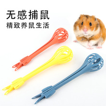 Tץ�}��A�ӂ}��A����A�}���z������������Ʒ�쾰������