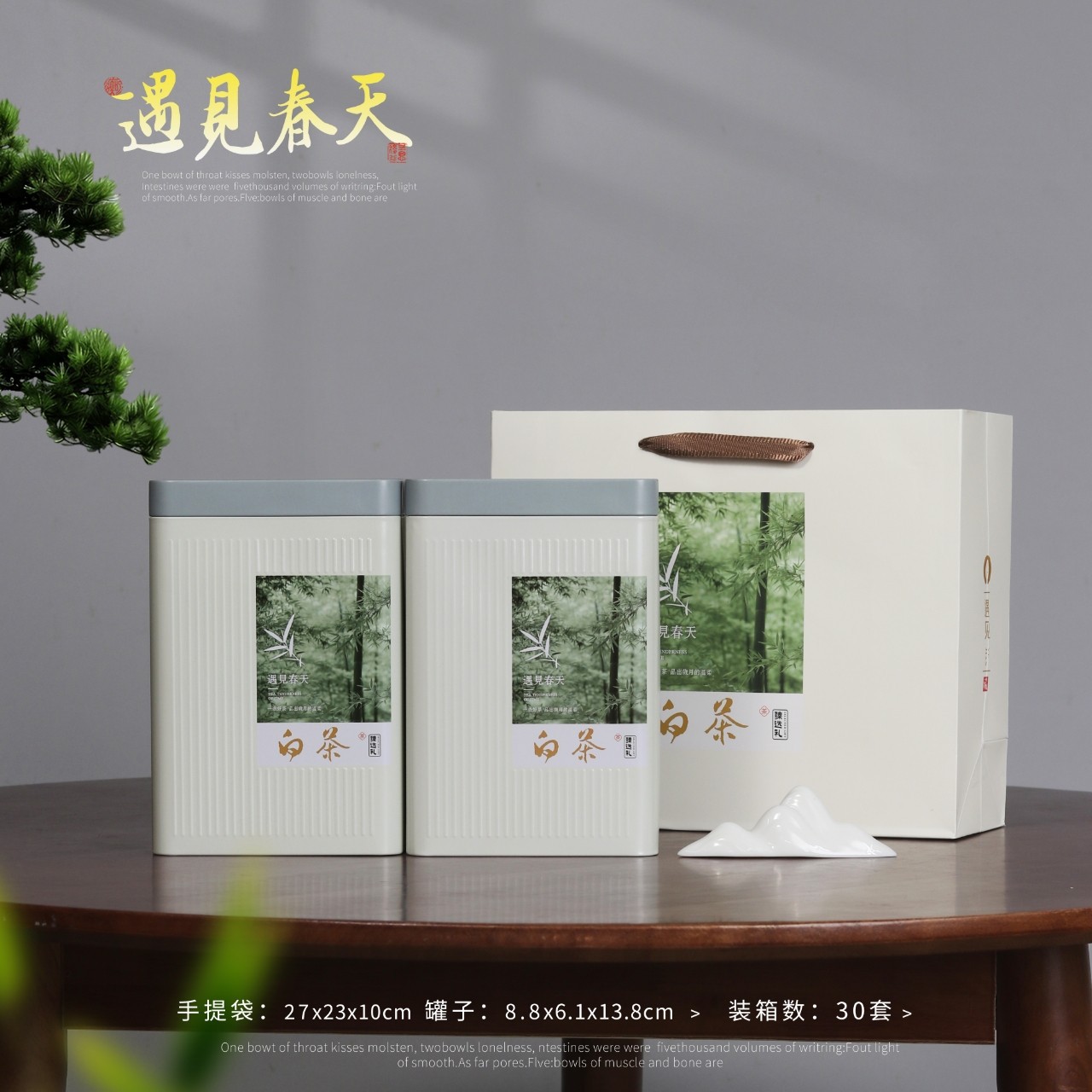 250g 2罐一提一斤装白茶铁罐30套批发安吉白茶茶叶包装空铁盒