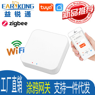 New factory direct supply cross-border graffiti WiFi Zigbee Gateway Support matching zigbee detector