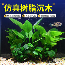 ˮ�ų�ľˮ��ֲ���~���쾰����������ֺ��B�����֬��ľ��ˮ�b�