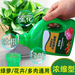園芸栄養液植物汎用型土水培鉢植え花卉緑羅植富貴竹金持ち液体花肥料