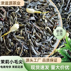 广西横县厂家批发茉莉小毛尖浓香型毛尖茶特级散装茉莉花茶无糖