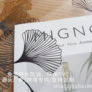 ins�W�t�y���~PVC͸������ ��ϴ��ˮ���Ͳ͉| ֧�ֶ��� �羳����