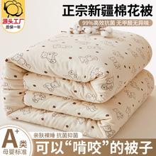 �½�����ȫ�ޱ��Ӵ���Ӻ�ѧ�����ᵥ�˱�ů�����ޱ�о�����յ���