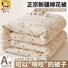 纤维被;床单、被单;床罩床笠