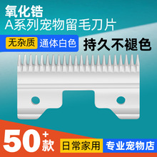 �羳��Ƽ���λ�������ȫ���^������������l��������ë��Ƭ���l