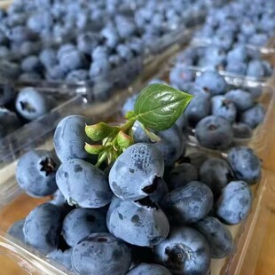 ��ϻ����{ݮ ���lL25 ���@ֱ�l�r�������ش�� �������rˮ��