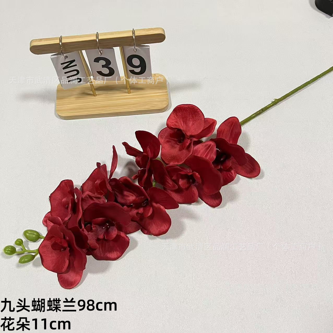 9 호접란