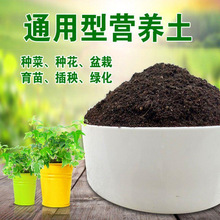 种菜种花营养土养花绿植通用型肥料土壤种菜家用有机花泥花土专用