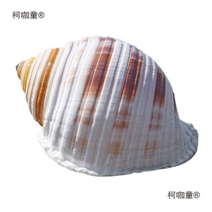 ���c���ݴ��ݚ�ؐ���~�׾�ؐ�~��ֳ�������҃Ȕ[���ÿ�����̫��