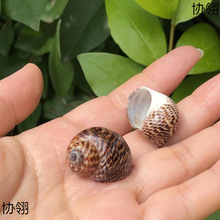 зÚQؐ~ÚȻؐ~ˮbƷ[