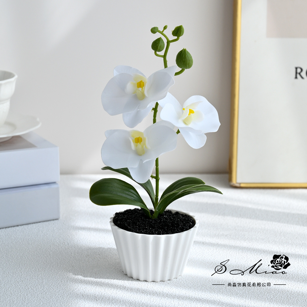 Orquídea de mariposa de tres flores y dos hojas pequeña plantación de bonsai creativa decoración del hogar de moda fotografía flores artificiales ornamentos de boda image 1