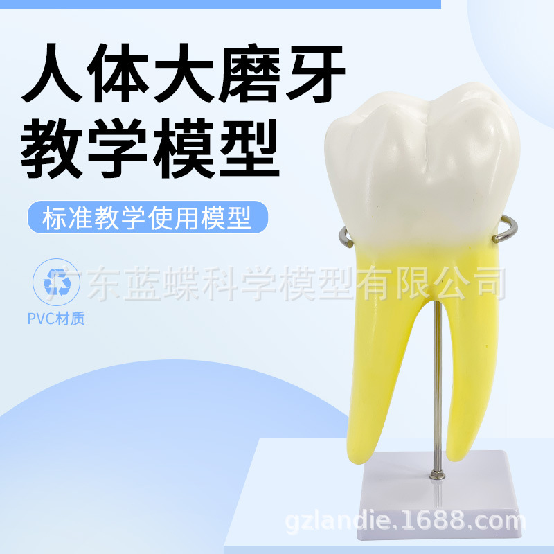 ����ĥ������ģ�� �׶�԰�̾�ҽѧ��ѧ��������ͨ�� �����֧��