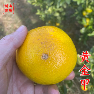 ���S��׽��硿�S������˳Ƚ�����Դ�ꖹ�һ̖����̽���Ʒ�N