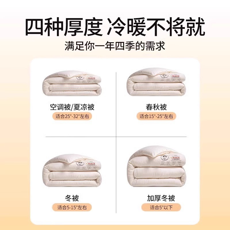 Class a Li Guanqi Soybean Fiber Quilt Core, Thickened and Warm Winter Quilt, Spring and Autumn Quilt, Soybean Quilt, Summer Cooling Quilt
