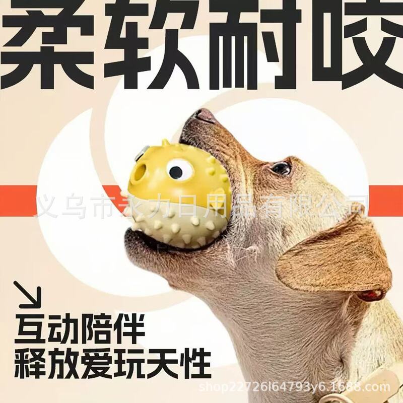 音が出る餌が出るボール、歯ぎしりにも強い、噛むおもちゃ、ゴールデンレトリバー、テディ、コーギー、ペット用品、楽しい音|undefined