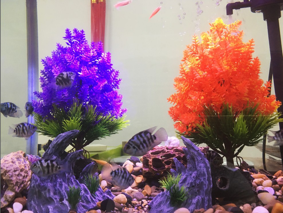 微信图片_2022072710132