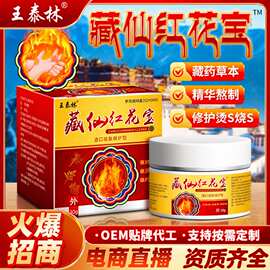 源头厂家藏仙红花宝烧伤烫伤外用护理膏抗菌膏外用草本乳膏软膏