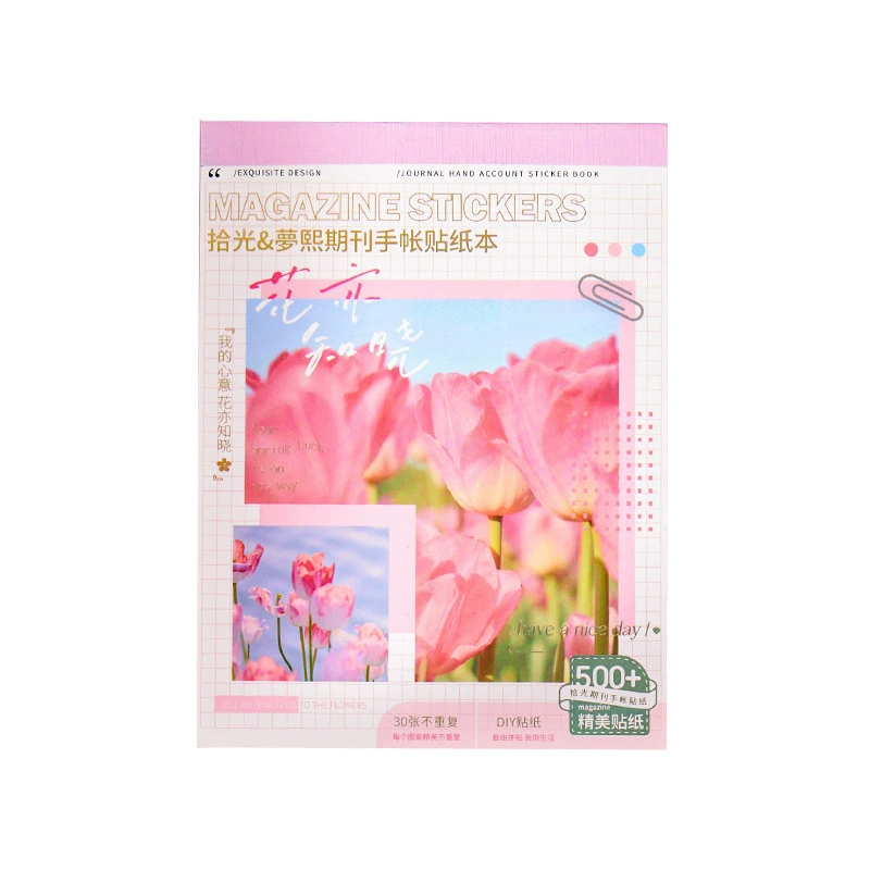 Стикер серии справочника Pickling the Journal Handbook Retro INS Salt Salt Salt Flower Sky Patching 30 листов