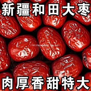 �½������2��t���E���L�����خa��؛�Ҝ����e��ʳ���l