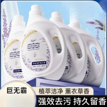 ޹�²����ϴ��Һ���ó־������������坍���