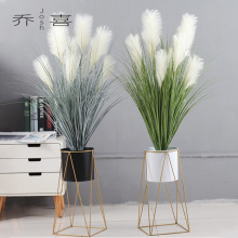 芦苇草花大束狗尾巴草绿植干花假花客厅落地装饰摆件道具