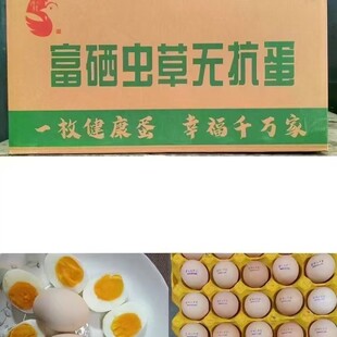 �����x�ݵ��G�����u���N�������r�u���r���u�����u���pɫ������