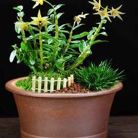 柴烧紫砂兰花盆大号长方马槽海棠古典阳台松柏老桩盆景盆包邮