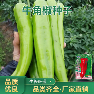 ţ�ǽ��N�������Ѵ��＾�Nֲ����ཷ�⽷�����N�������̨��ǽ�