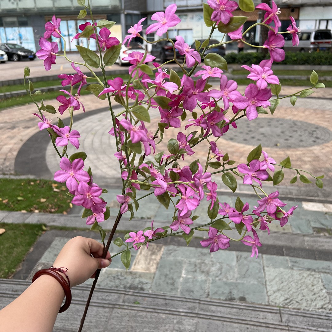 Qianli incienso púrpura rojo