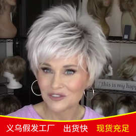 2025外贸新款假发欧美时尚女短发灰白色短直发化纤发套独立站wigs