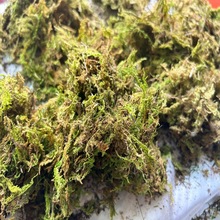 ���x�|����Ȼ�����rˮ̦̦�\�����^���ߌ����߽����،mϐ���b���