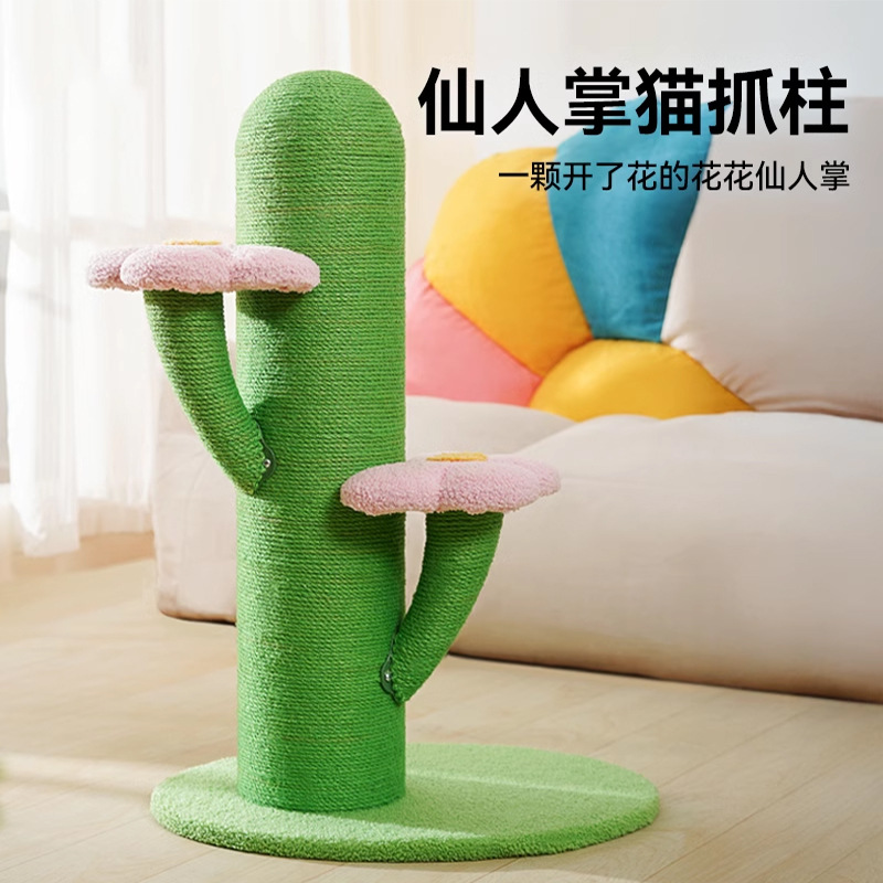 선인장 고양이 등반 프레임