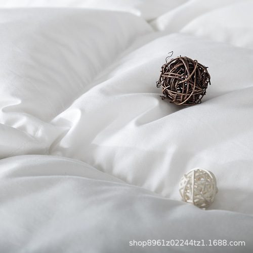 Bedding hotel linen down comforter core B&B warm soft down blanket thick single double winter quilt wholesale