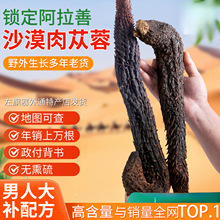 送羊正材料整根油软性苁蓉内蒙古藿沙漠整根油软性苁蓉内蒙
