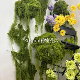 仿真青苔丝状苔藓微景观绿植布景遮挡花泥莫奈花园盆栽草坪批发