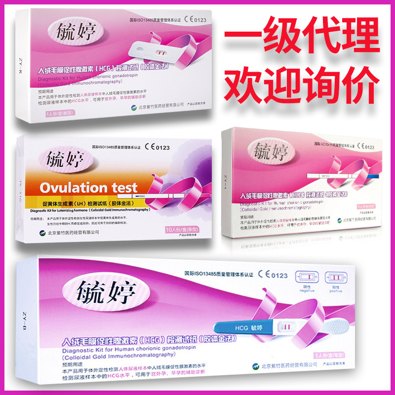 Yiting Pen Type Pregnancy Test Stick Pregnancy Test Pen Test Card Early Pregnancy Test Paper Pen Type Strip Type Card Type Pregnancy Test Preparation