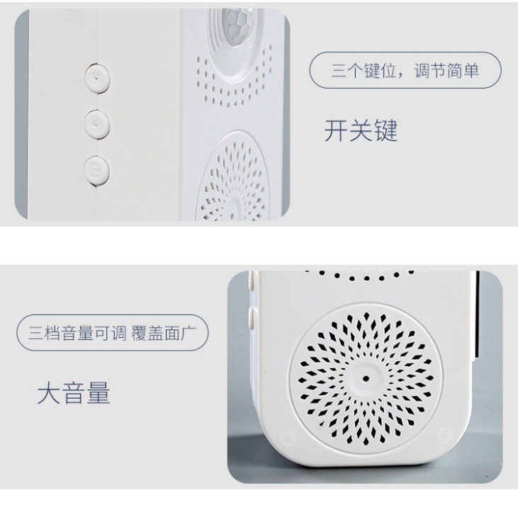 IMG_1910(20220512-140731)