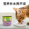 Canned cats wholesale staple food cat wet grains 170g a piece of cat, cat, cat snack pet snack wholesale