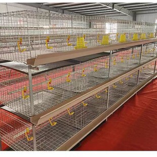 ���u�\��\���P�Bֳ�O���r������u�\��ʽ���ʽ�u�\